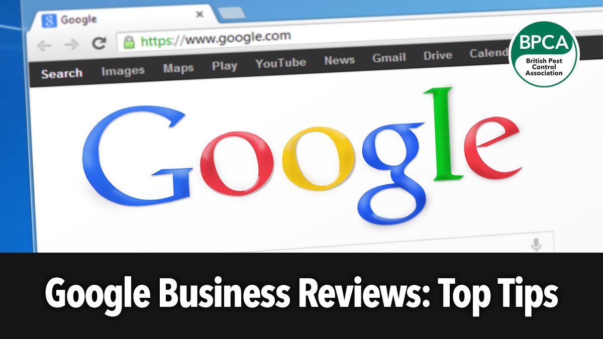 google-business-reviews-tips-for-pest-businesses-hero google-business-reviews-tips-for-pest-businesses-hero